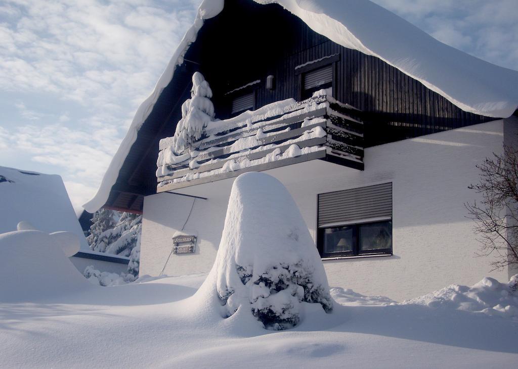 Ferienwohnungen Annegret Schutte Winterberg Bagian luar foto